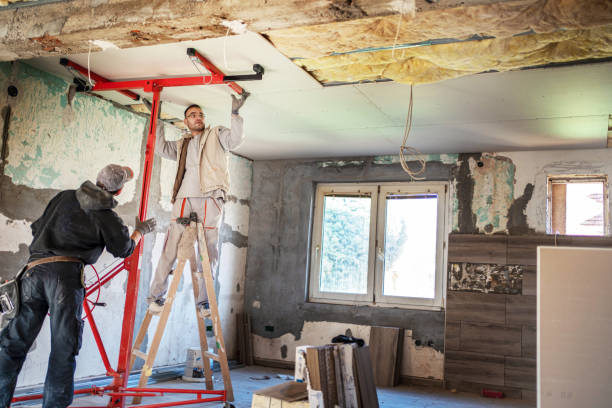 Best Eco-Friendly Insulation in Brentwood, MO